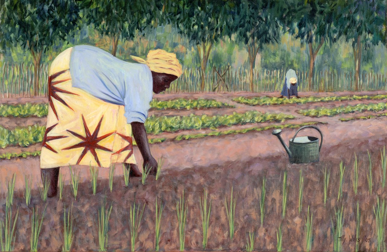 Soğan Dikimi, 2005 by Tilly Willis
