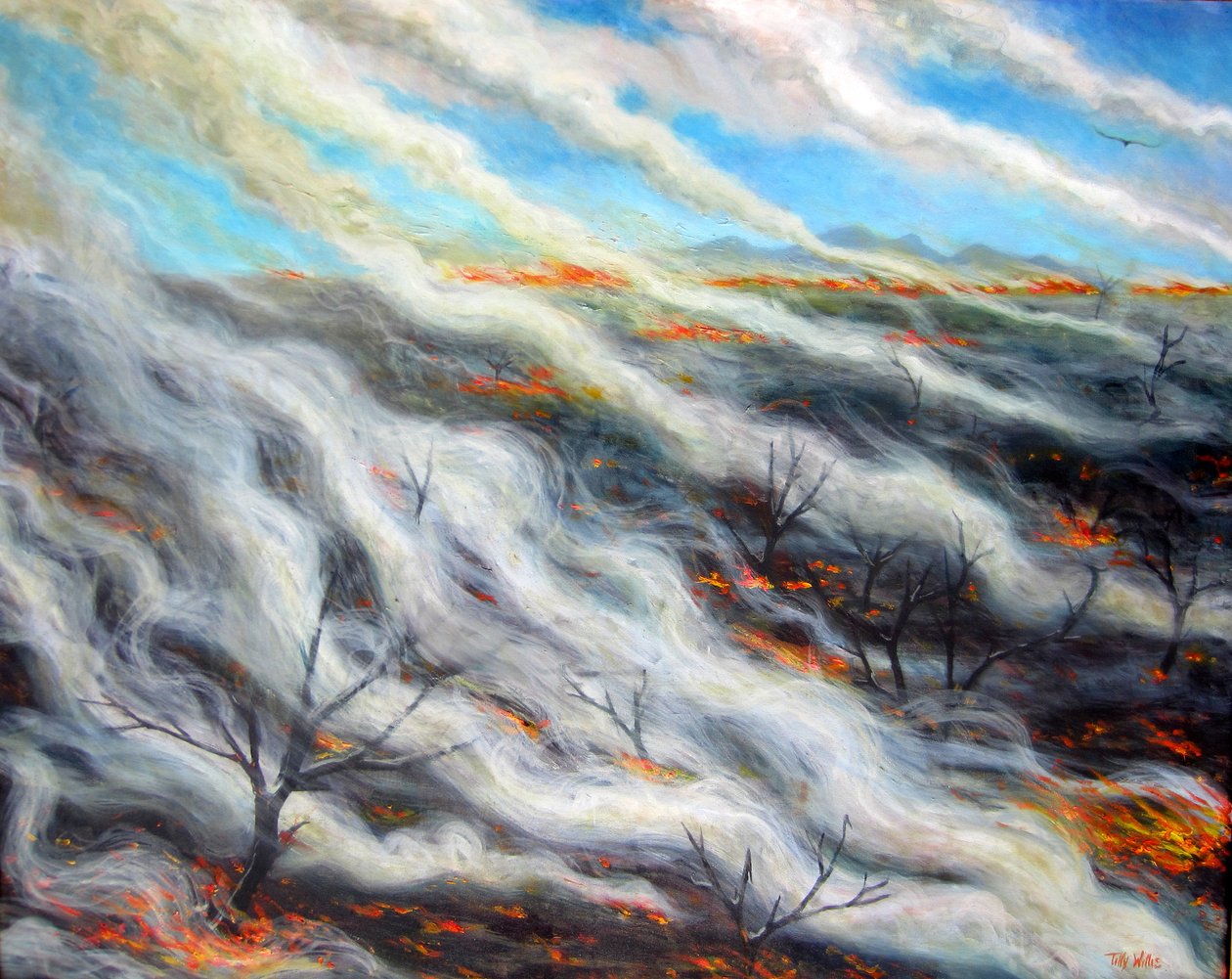 Kavrulmuş Toprak, 2014, by Tilly Willis