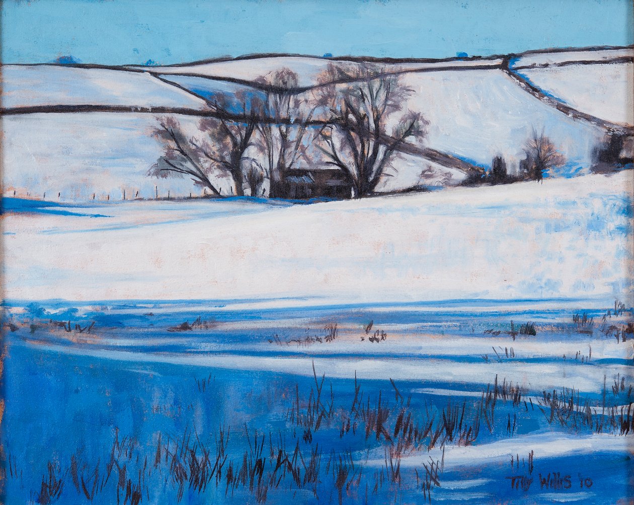 Kar Gölgeleri, 2010 by Tilly Willis