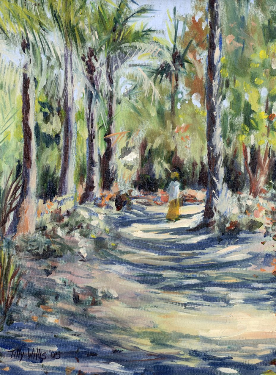 Bush Yolu, 2005 by Tilly Willis