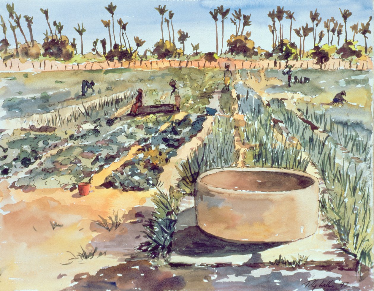 Kadın Bahçesi, Senegal, Batı Afrika, 1997 by Tilly Willis