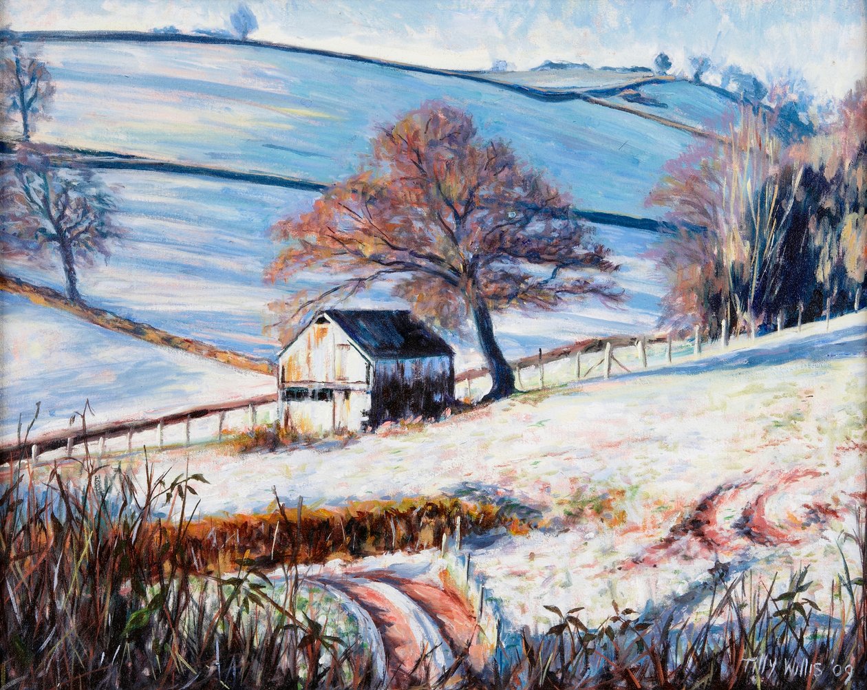 Kış Donu, 2009 by Tilly Willis