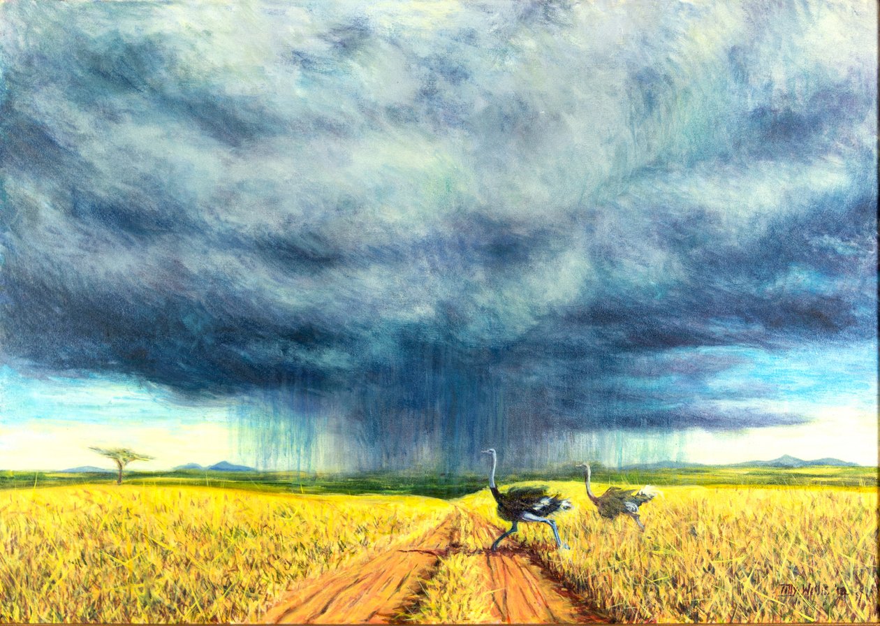 Afrika Fırtınası, 2016, by Tilly Willis