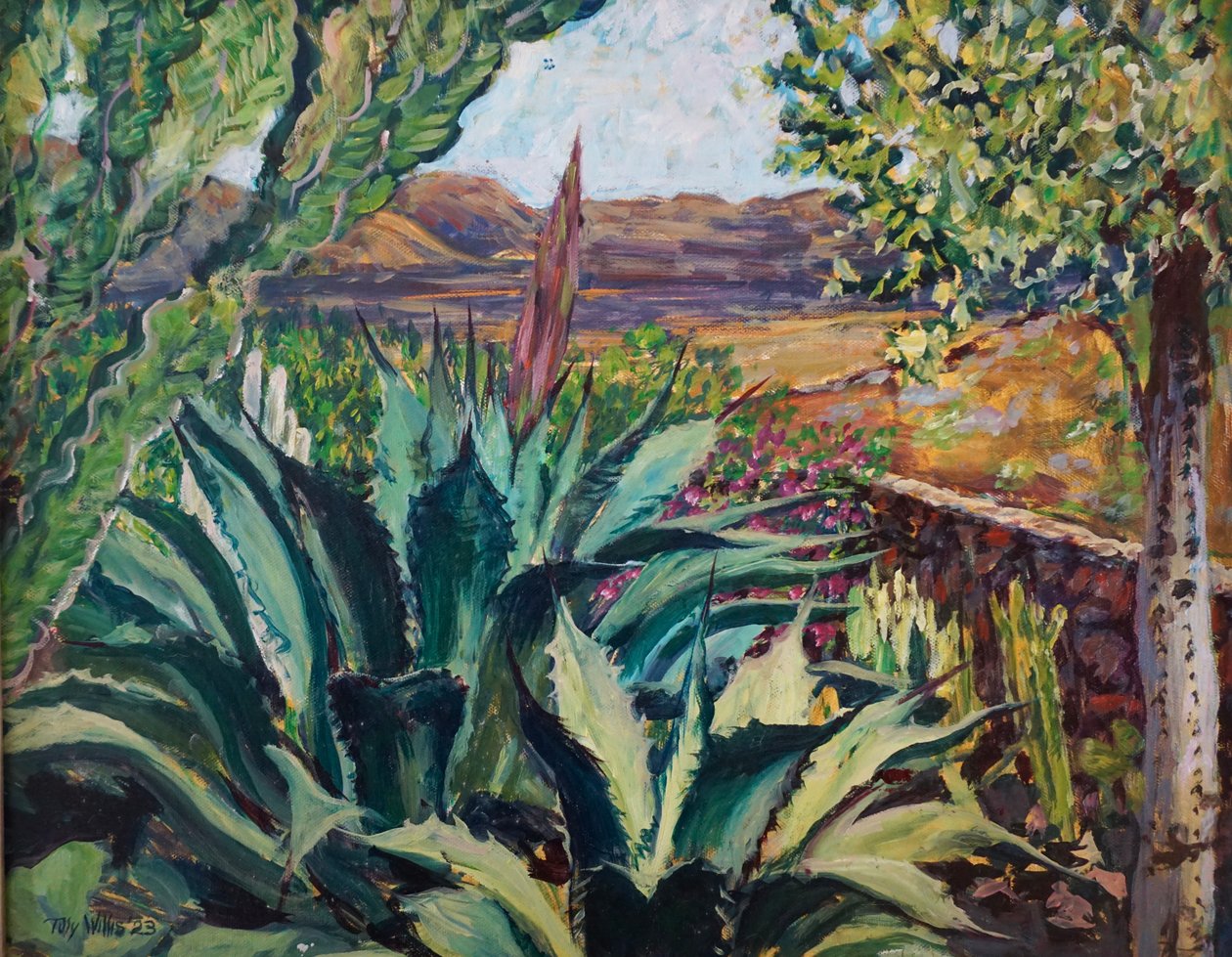  by Tilly Willis