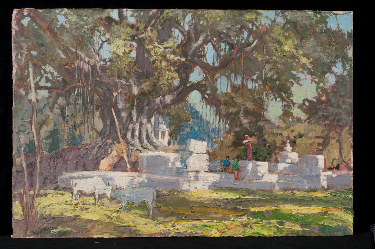 Kawardha Kuyusu ve Banyan Ağacı by Tim Scott Bolton