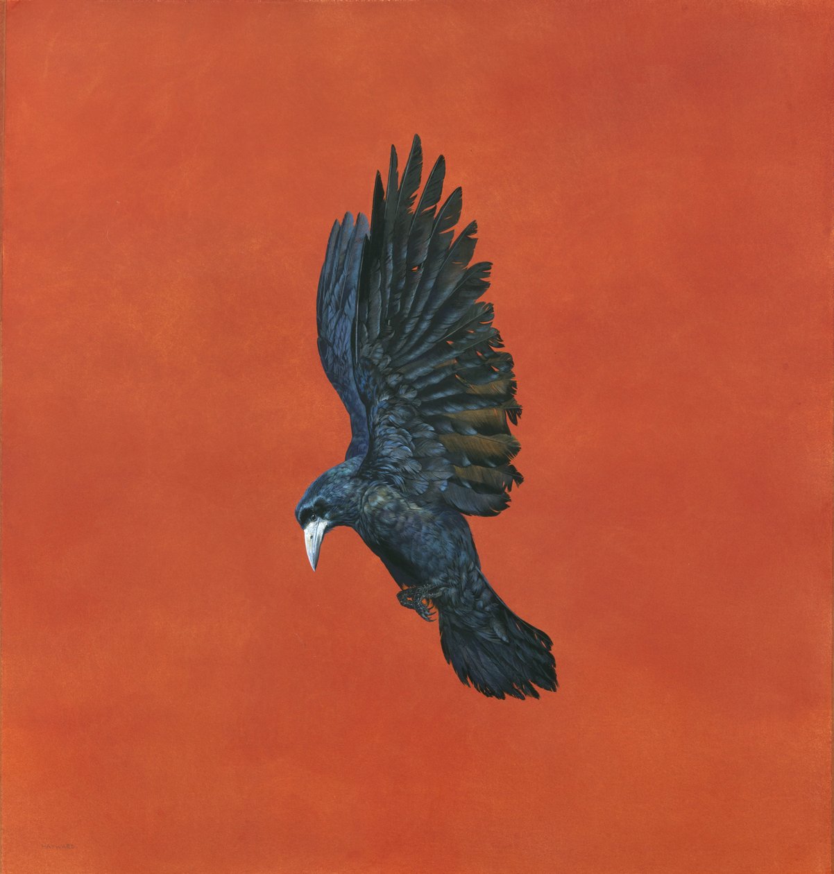 Parlak-Kırmızı, (Arches 640 gr kağıt üzerine sulu boya ve guaj,) 101,6 x 91,4 cm by Tim Hayward