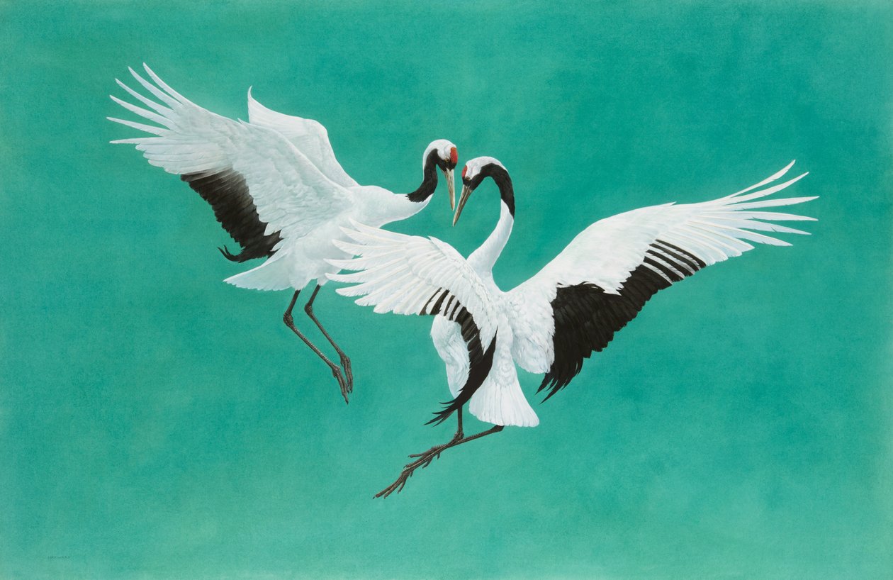 Arches 300gsm kağıt üzerine Dance-Yeşil, Suluboya ve guaj, 104,1 x 160 cm by Tim Hayward