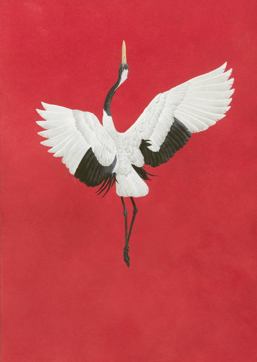 Arches 640gsm kağıt, 96 x 66 cm üzerine Dance-Kırmızı,Suluboya ve guaj by Tim Hayward