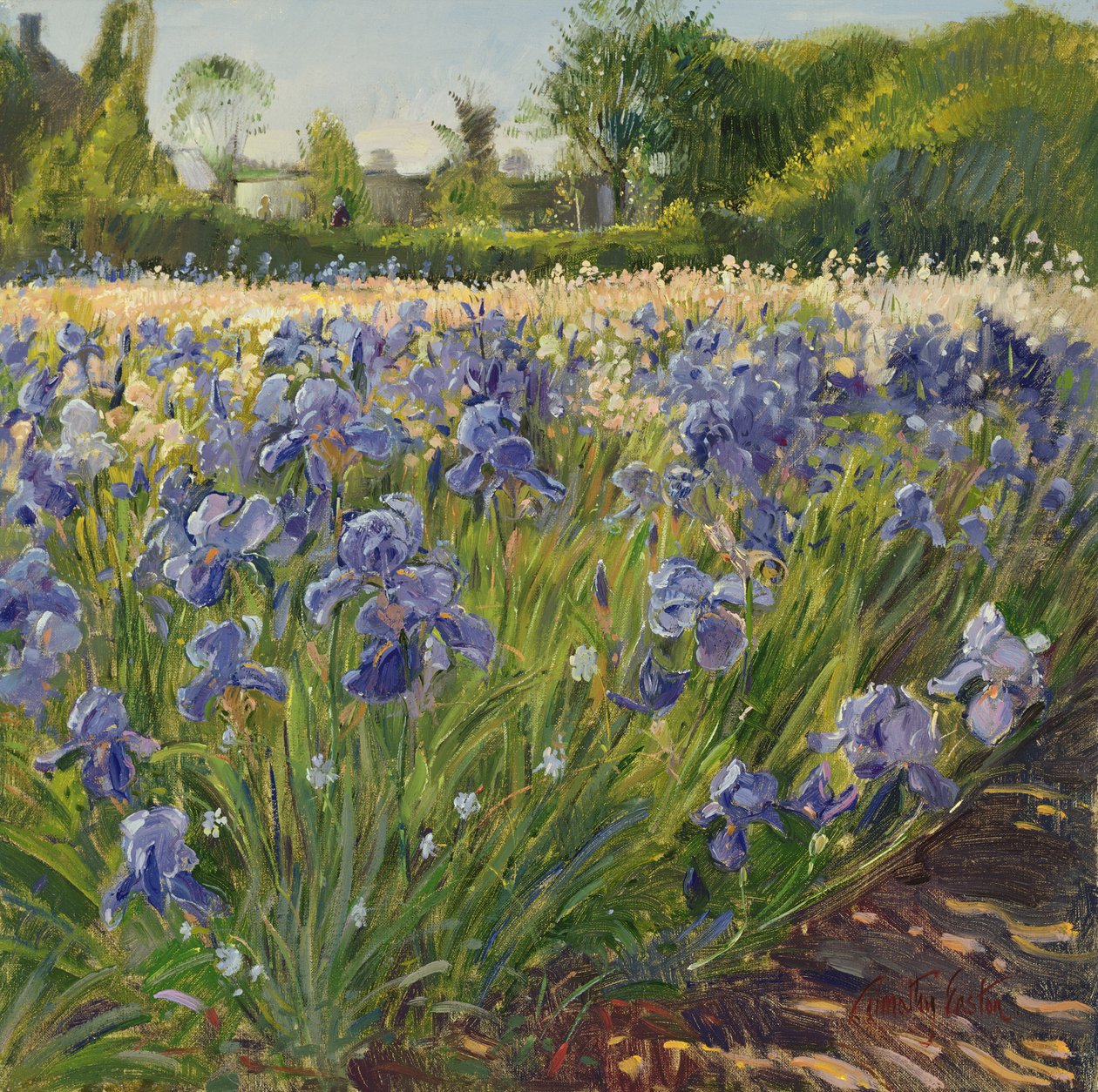 Mavi İrislerin Üstünde by Timothy Easton