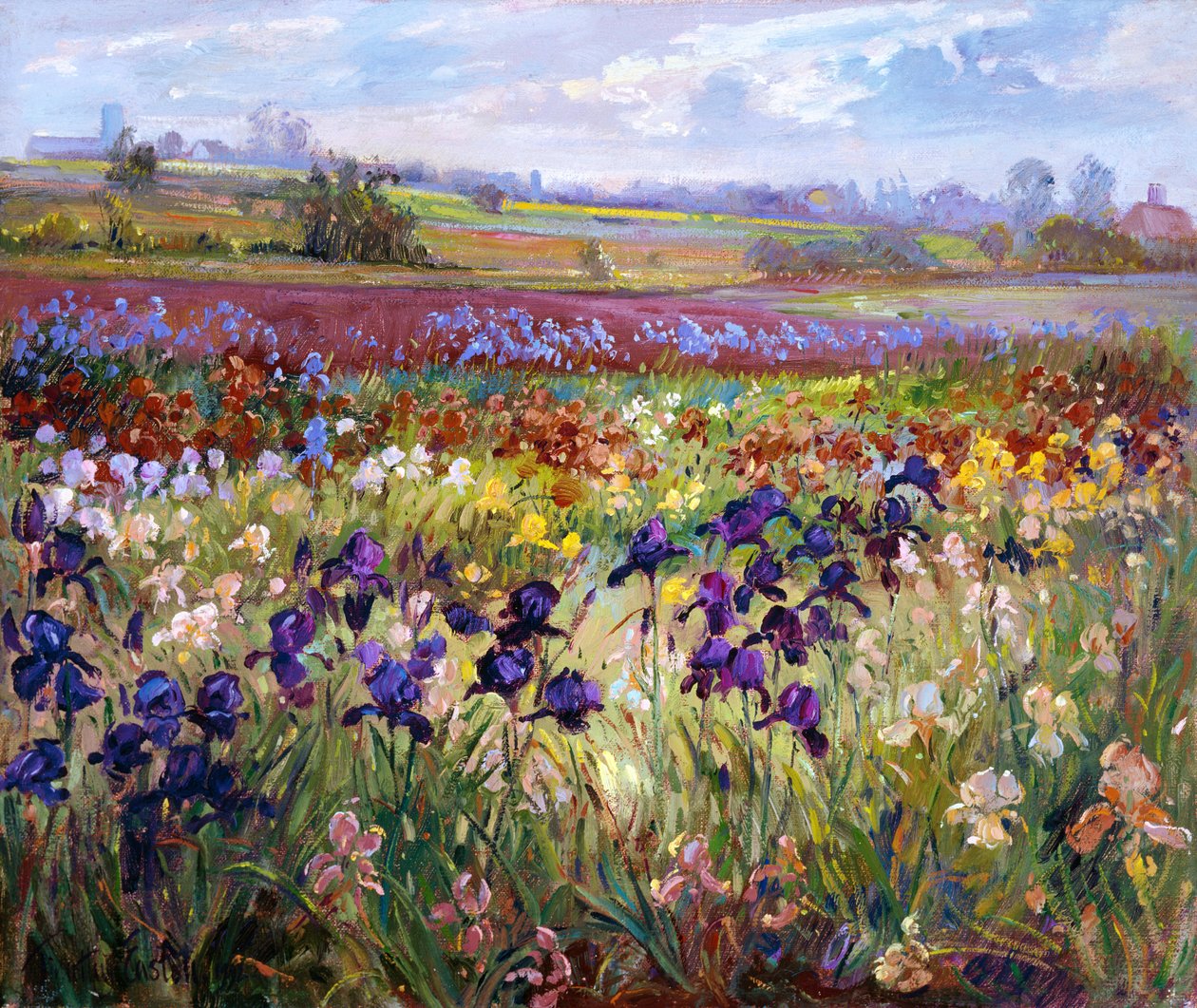 Burgate Karşısı by Timothy Easton