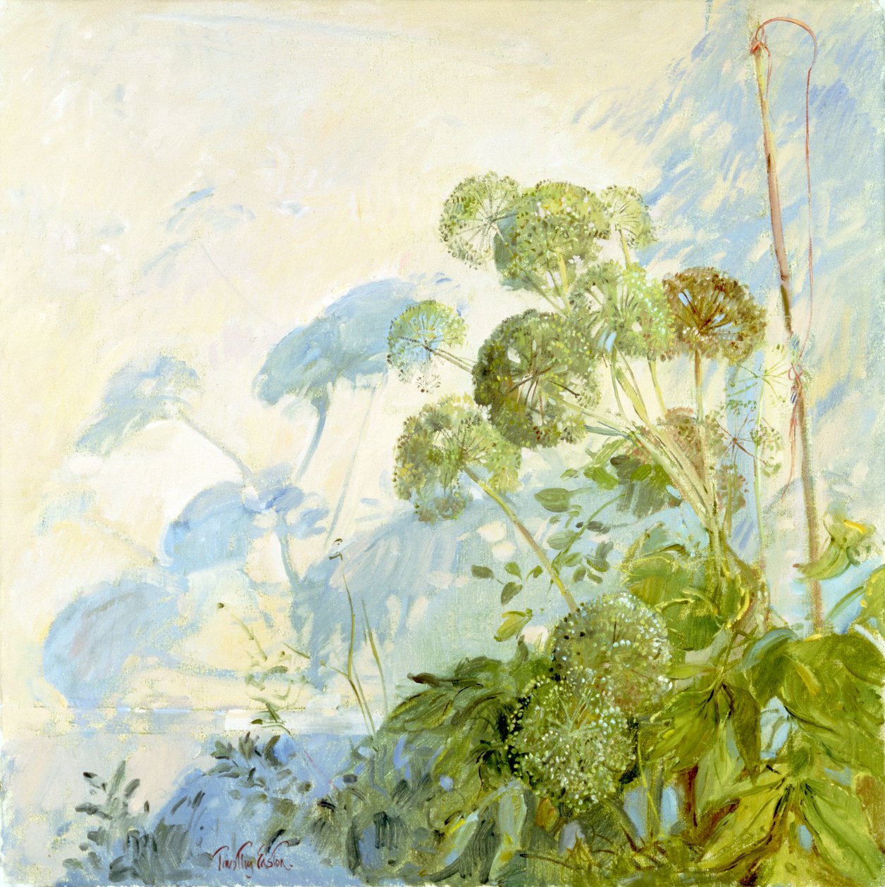 Angelica Gölgeler by Timothy Easton