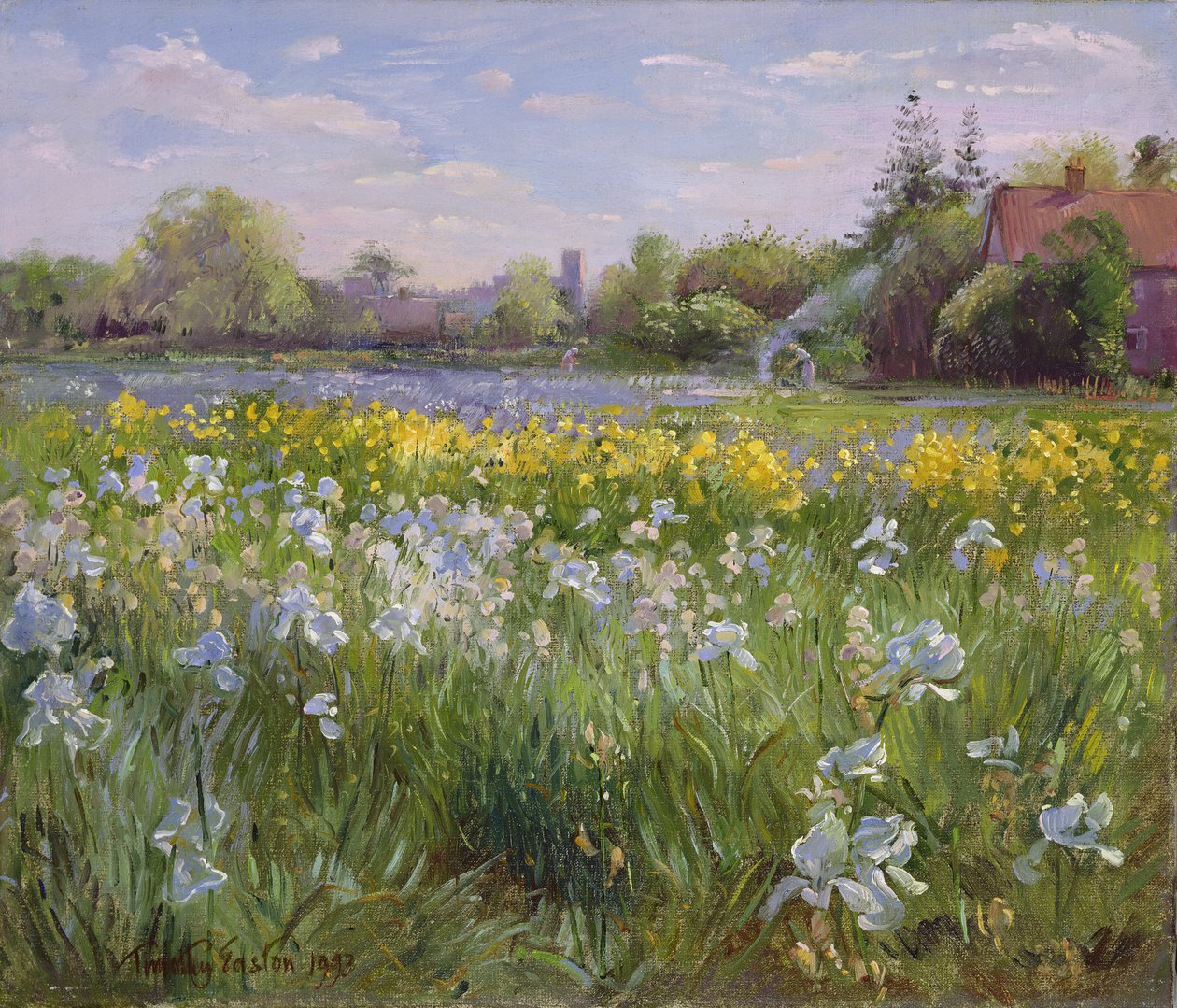 Şenlik Ateşi ve İris Alanı, 1993 by Timothy Easton