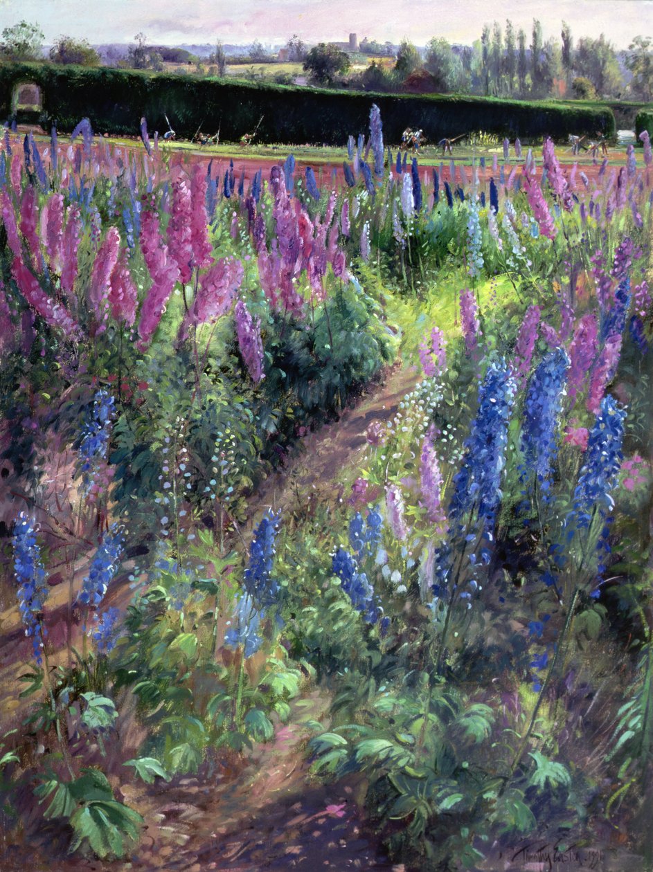 Delphinium Field ve Hoers, 1991 by Timothy Easton