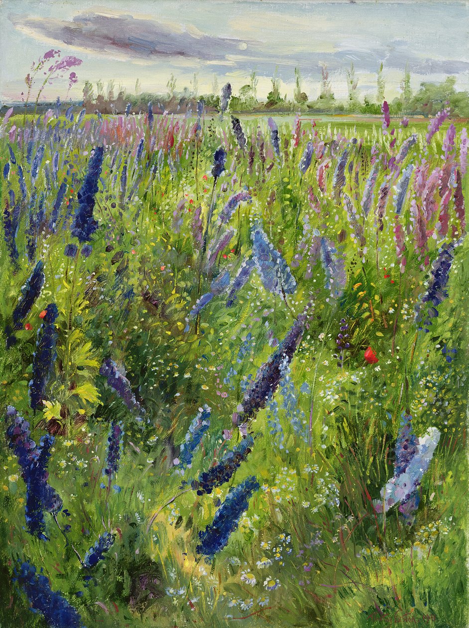 Delphiniums ve Yükselen Güneş, 1991 by Timothy Easton