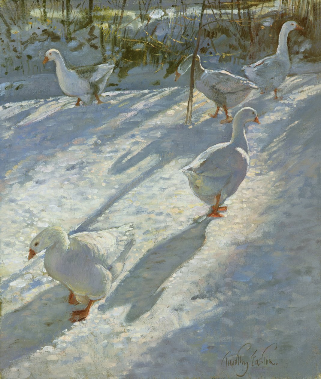 Yamacı Keşfetmek by Timothy Easton
