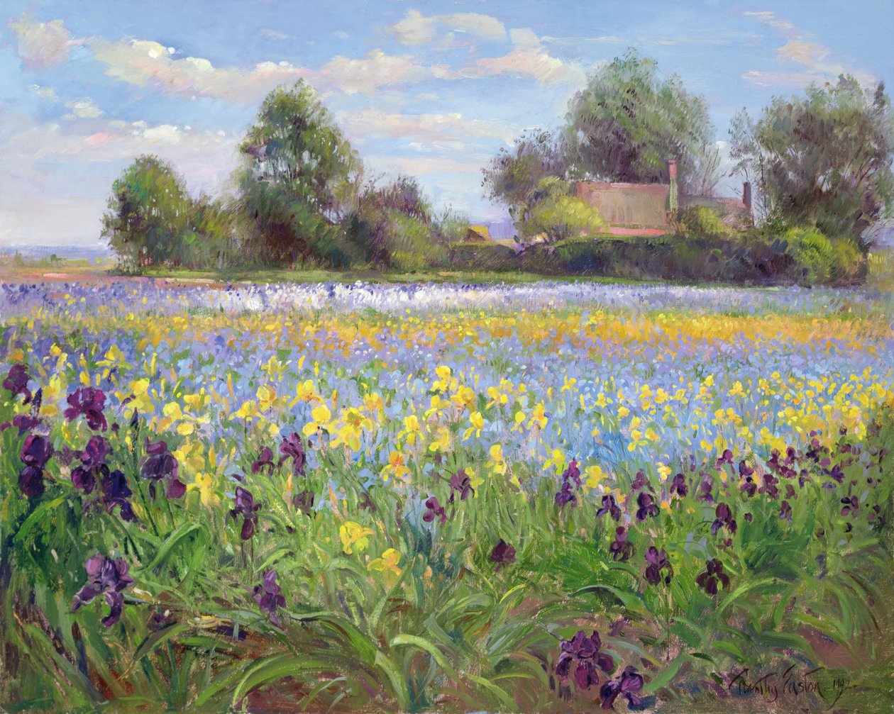 Çiftlik ve İris Alanı, 1992 by Timothy Easton
