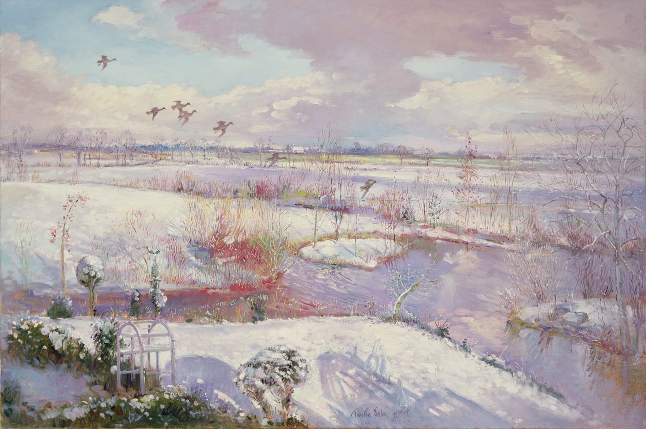 Düşen Uçuş, 1993 by Timothy Easton