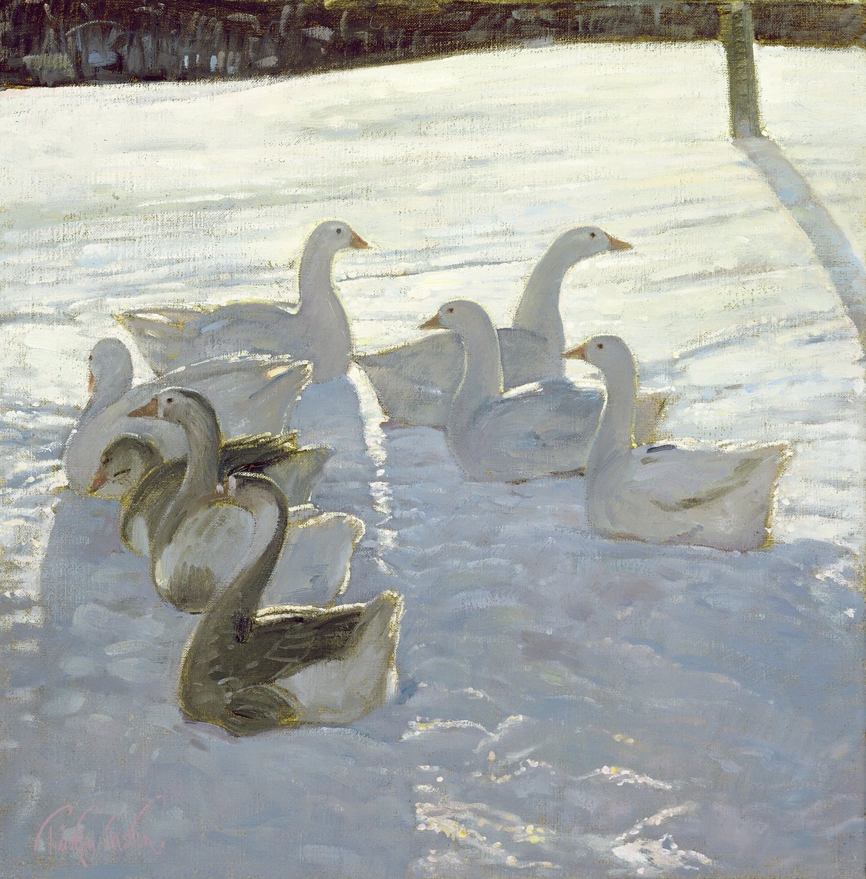 Işığa Karşı Kazlar by Timothy Easton