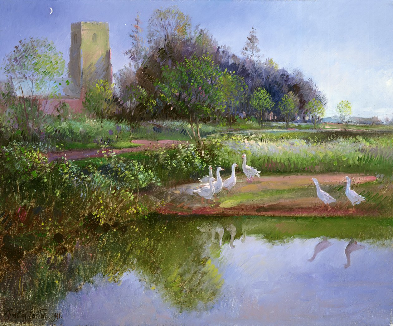 Gün Batımında Kazlar, 1991 by Timothy Easton