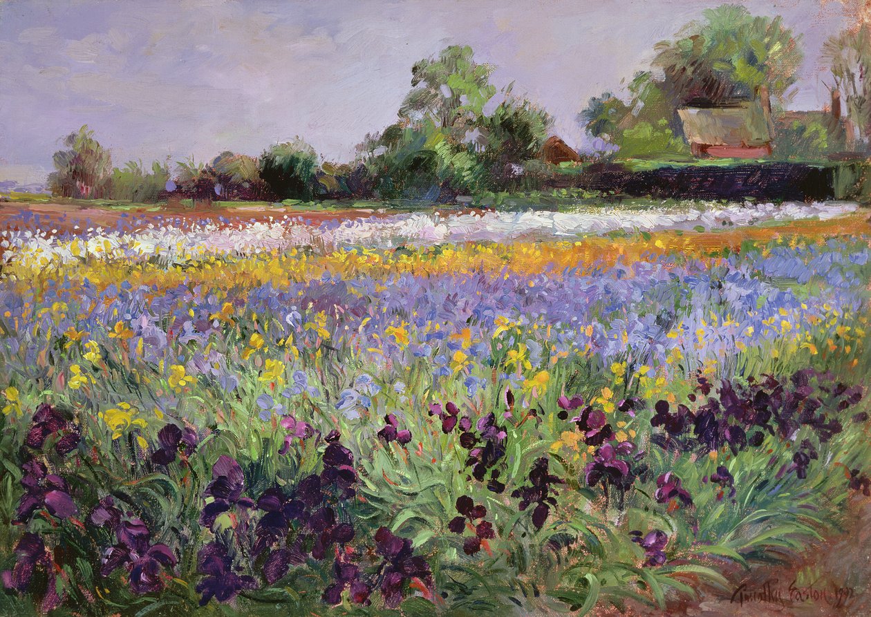 Iris Field ve İki Kulübe by Timothy Easton