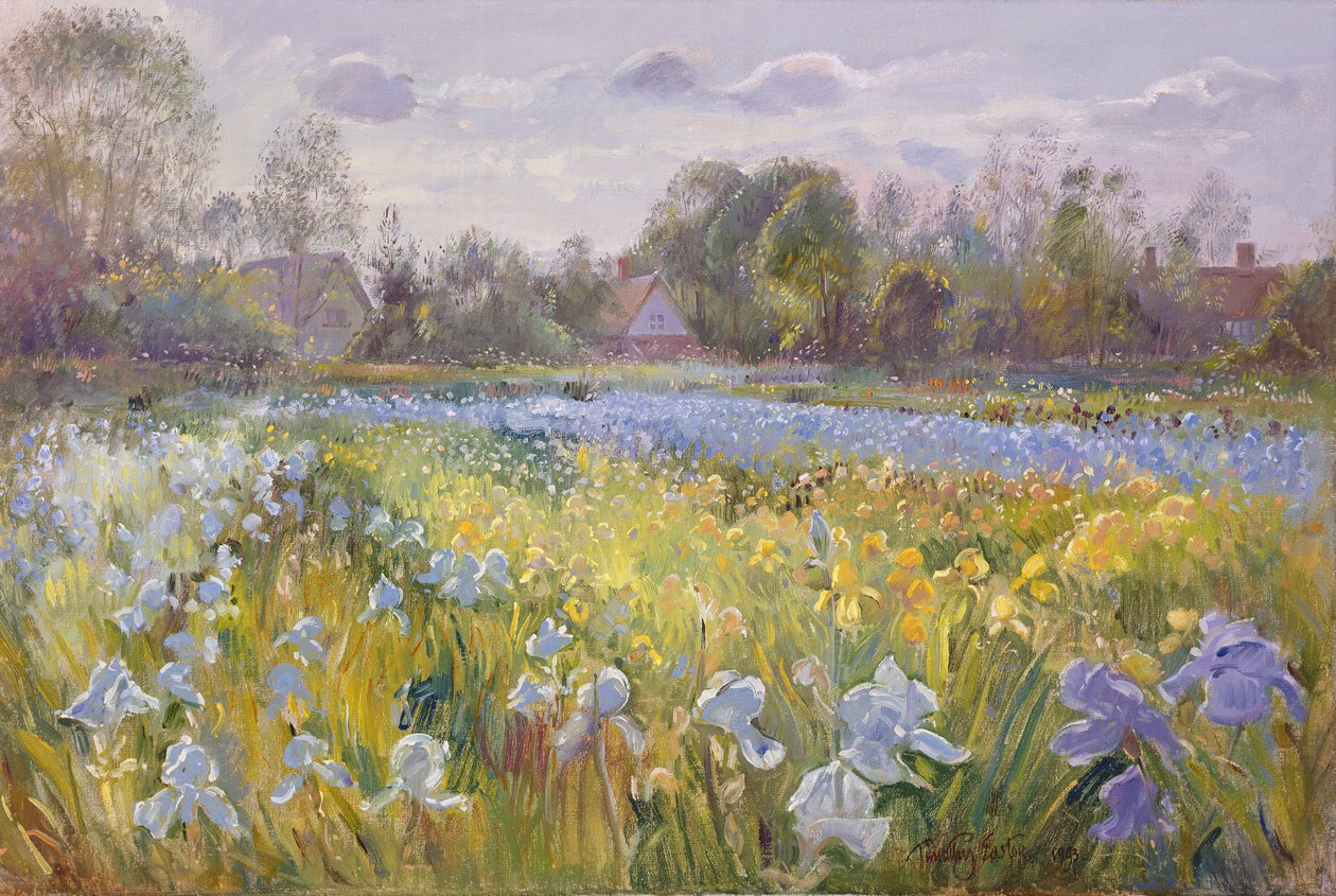 Akşam Işığında İris Alanı, 1993 by Timothy Easton