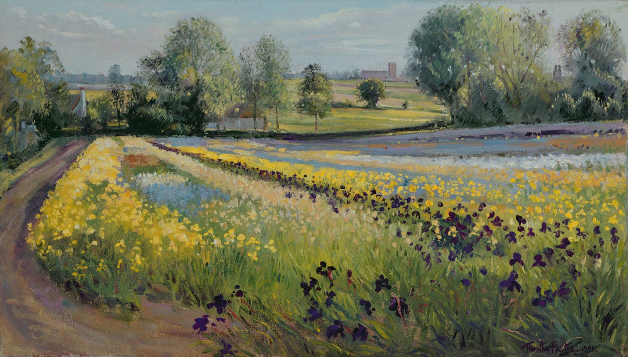 İris Eğimi, 1991 by Timothy Easton