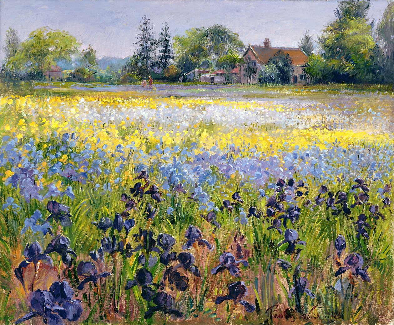İrisler ve İki Köknar Ağacı, 1993 by Timothy Easton
