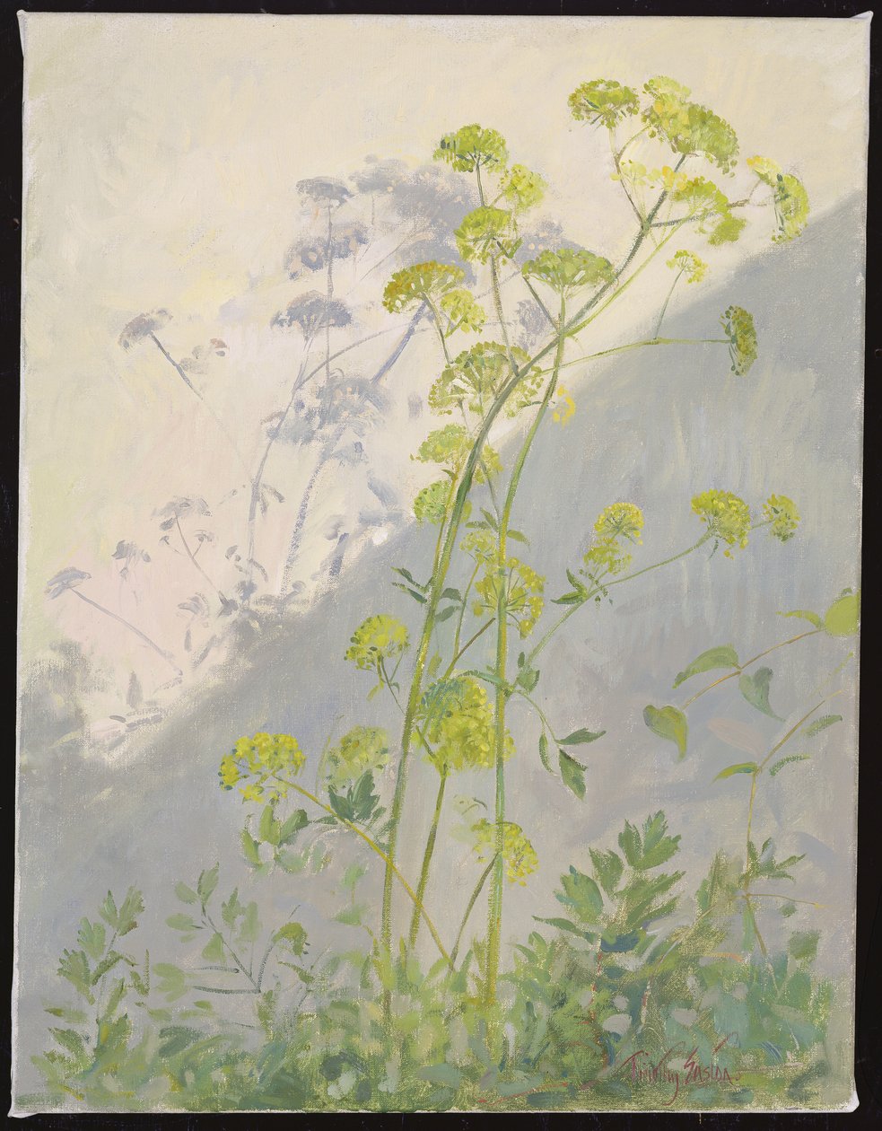 Çapraz Gölgelere Karşı Aşk, 1999 by Timothy Easton