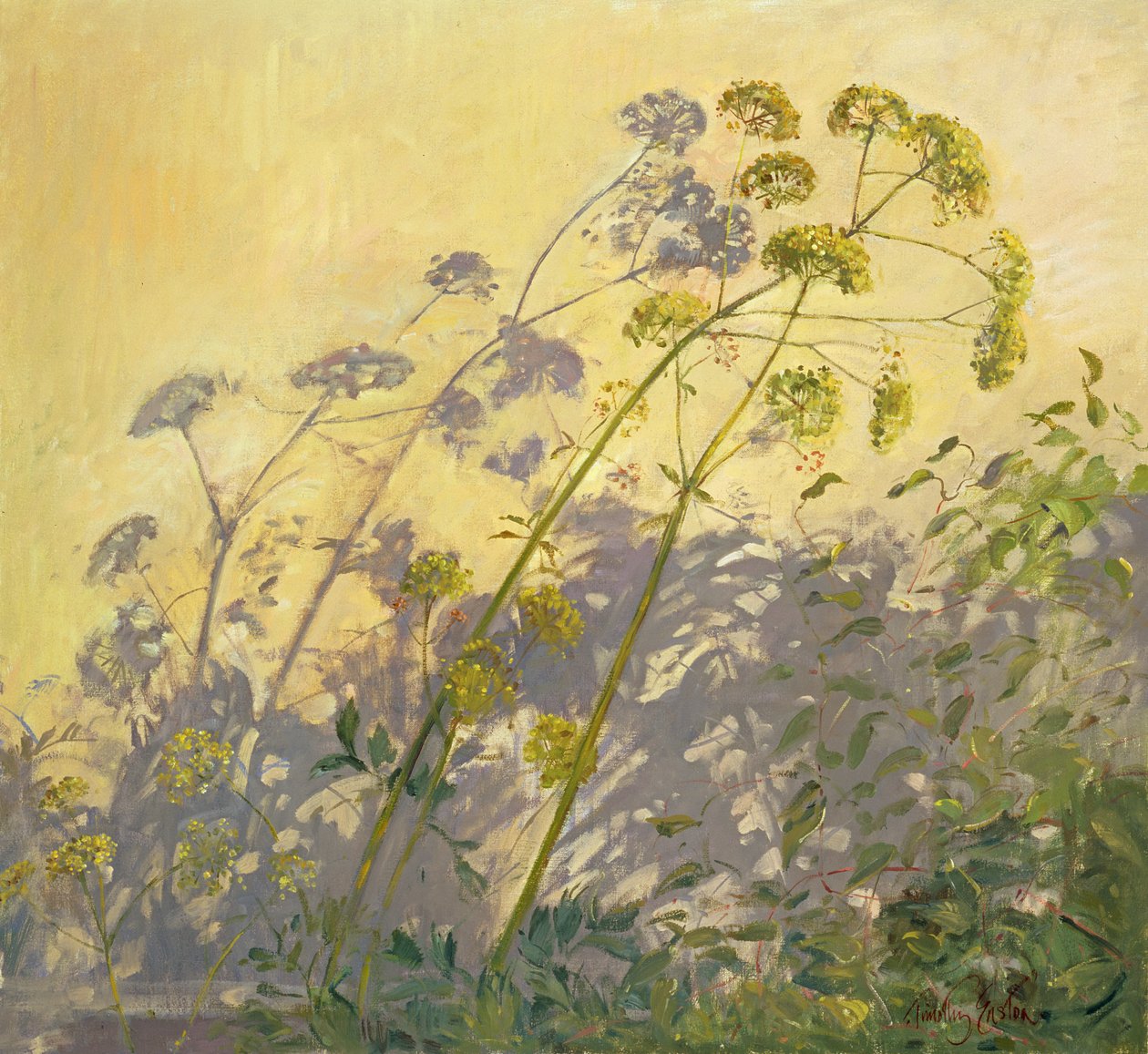 Lovage, Clematis ve Gölgeler, 1999 by Timothy Easton