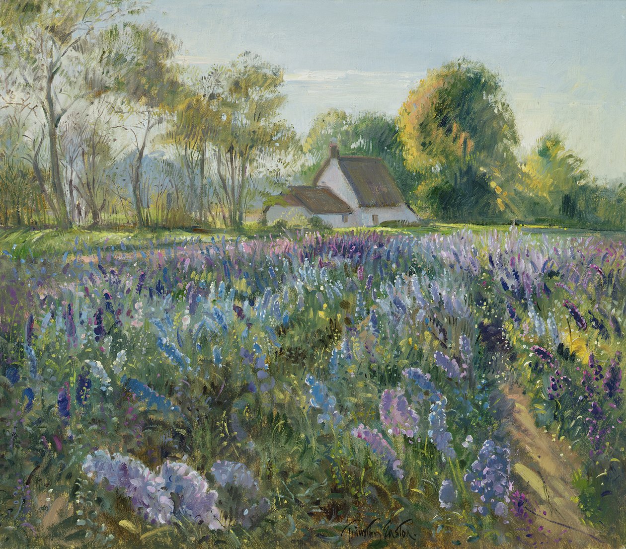 Ekim Delphiniums by Timothy Easton