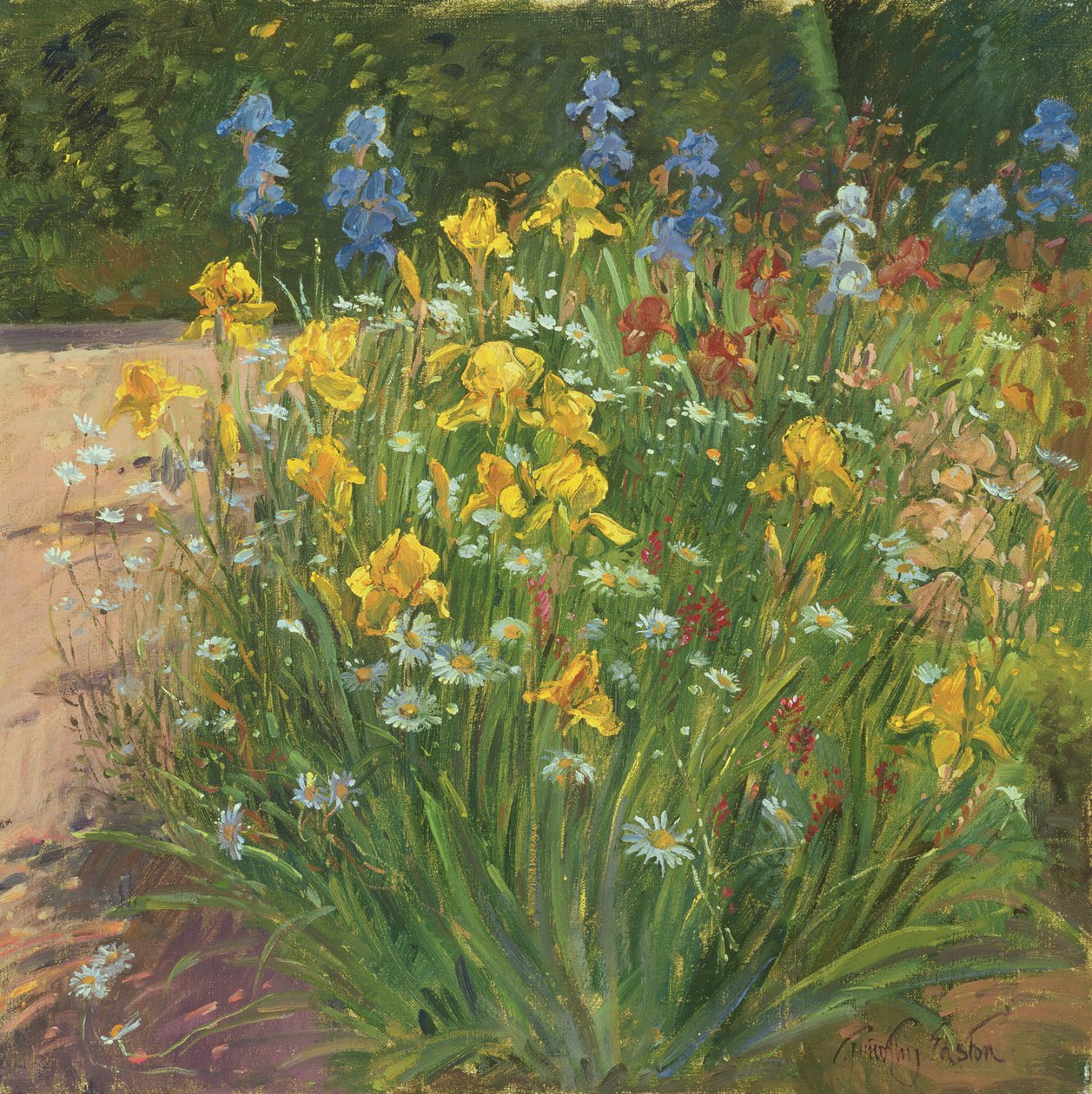 Süsenlere Karşı Okseye Papatyalar by Timothy Easton