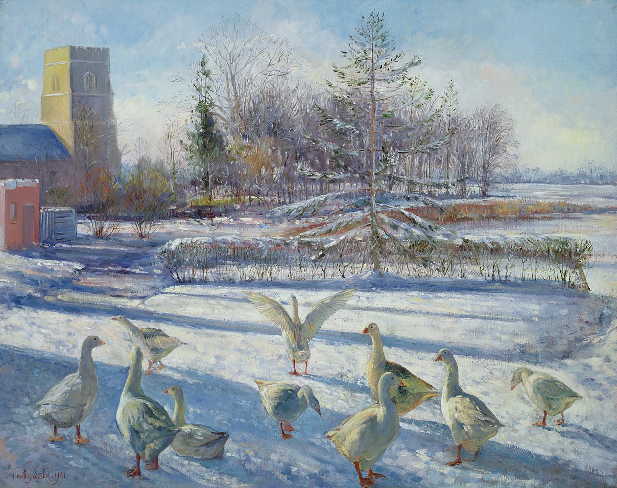 Kar Kazları, Kış Sabahı by Timothy Easton