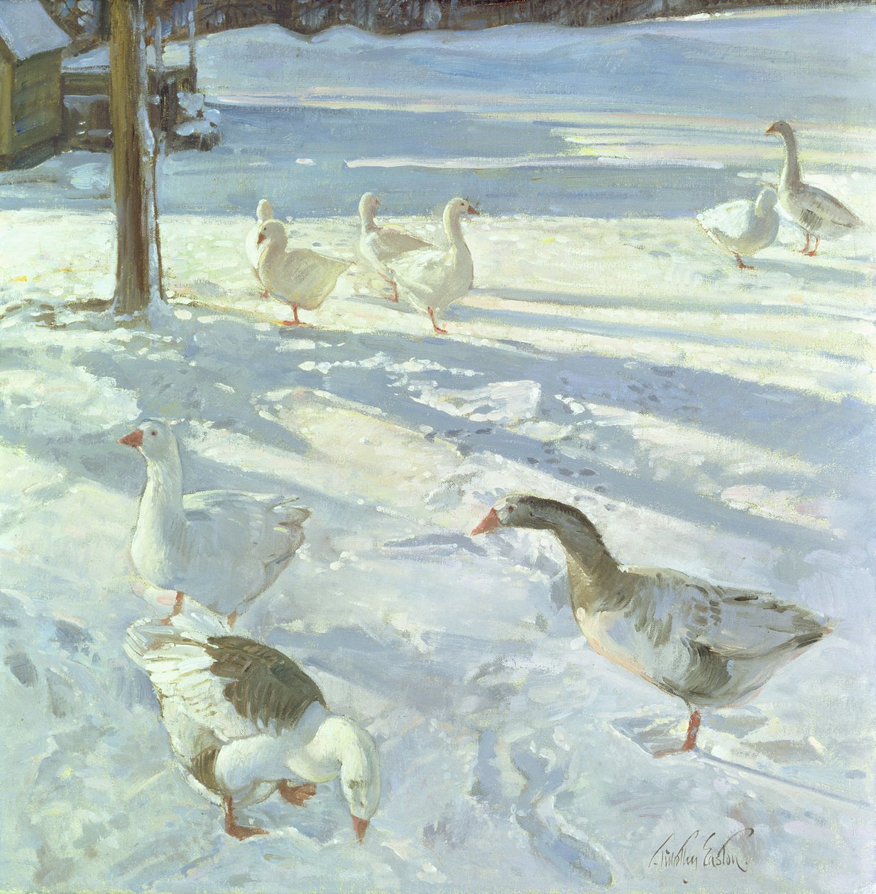 Kar Besleyiciler, 1999 by Timothy Easton