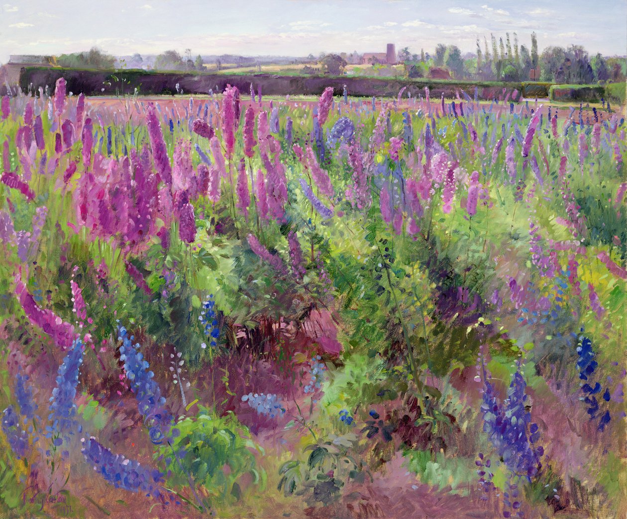 Delphinium Alanı, 1991 by Timothy Easton