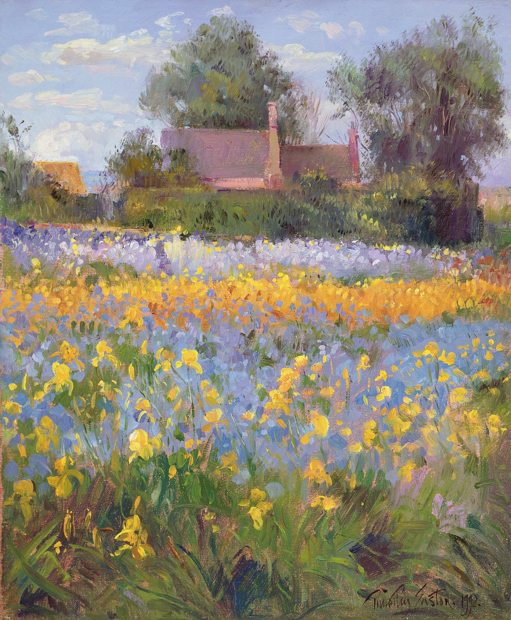 İris Alanındaki Kapalı Kulübeler by Timothy Easton