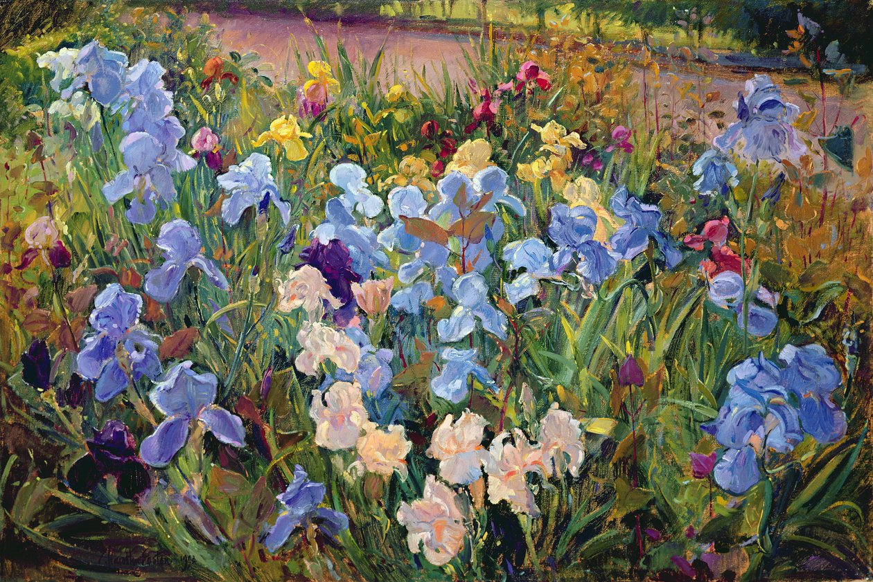 İris Yatak, 1993 by Timothy Easton