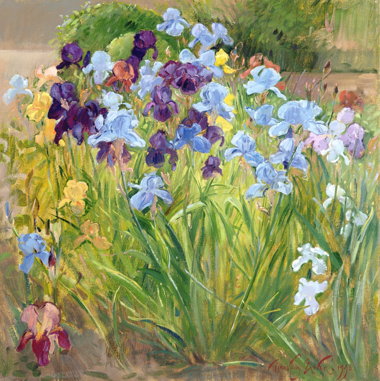 İris Yatak, Bedfield, 1996 by Timothy Easton