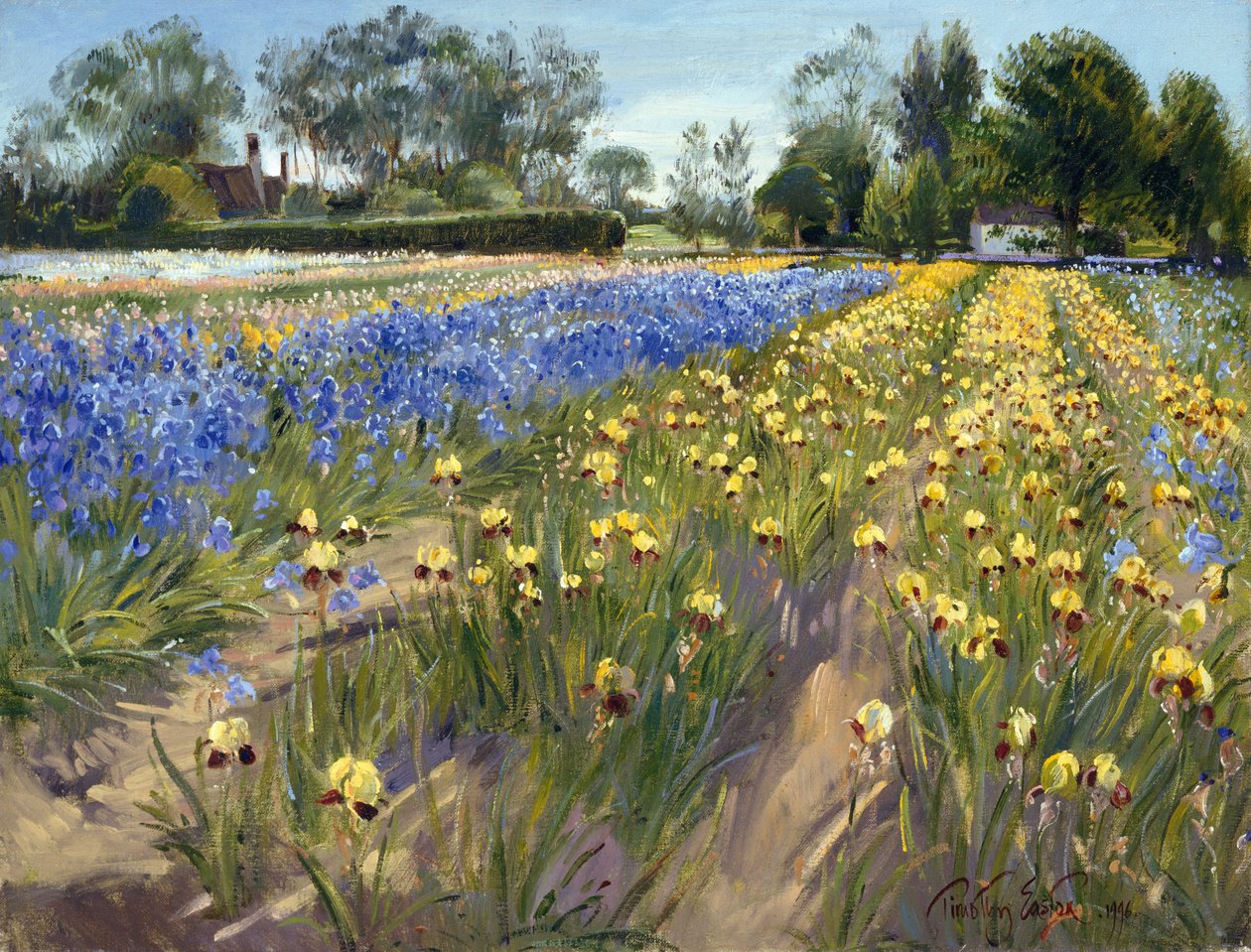 Beyaz Ahıra Doğru, 1996 by Timothy Easton