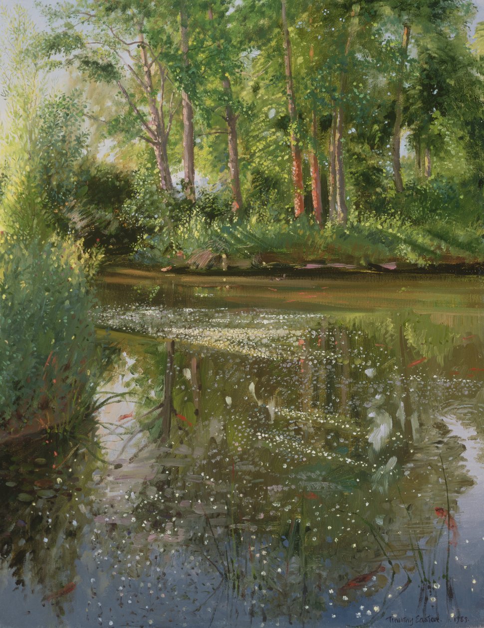 Gün doğumunda su çiçekleri by Timothy Easton
