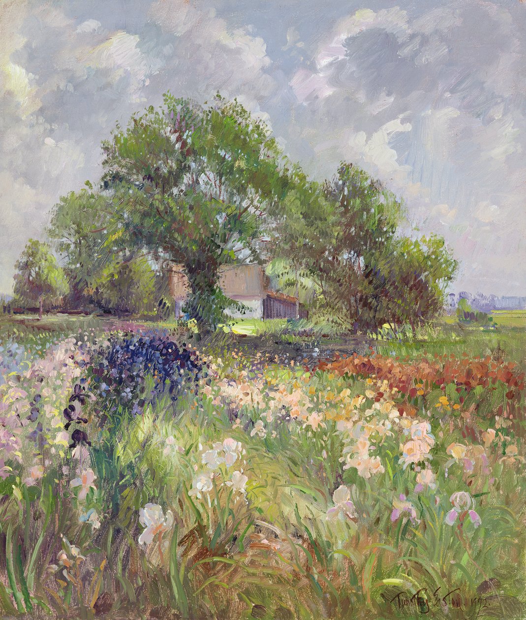 Beyaz Ahır ve İris Alanı, 1992 by Timothy Easton