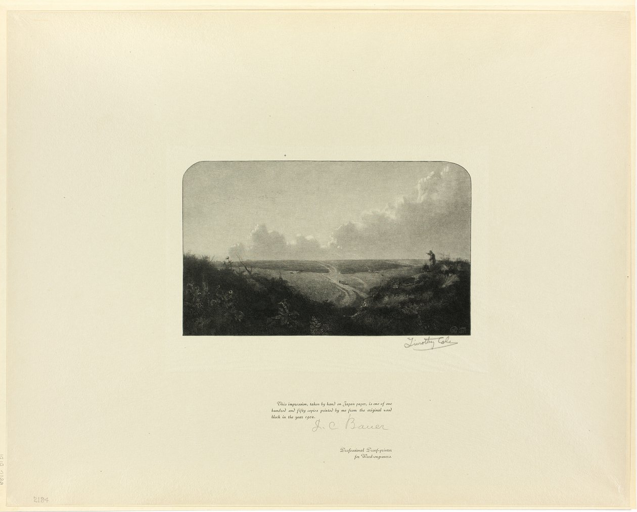 Eski İngiliz Ustalarından Mousehold Heath by Timothy Cole