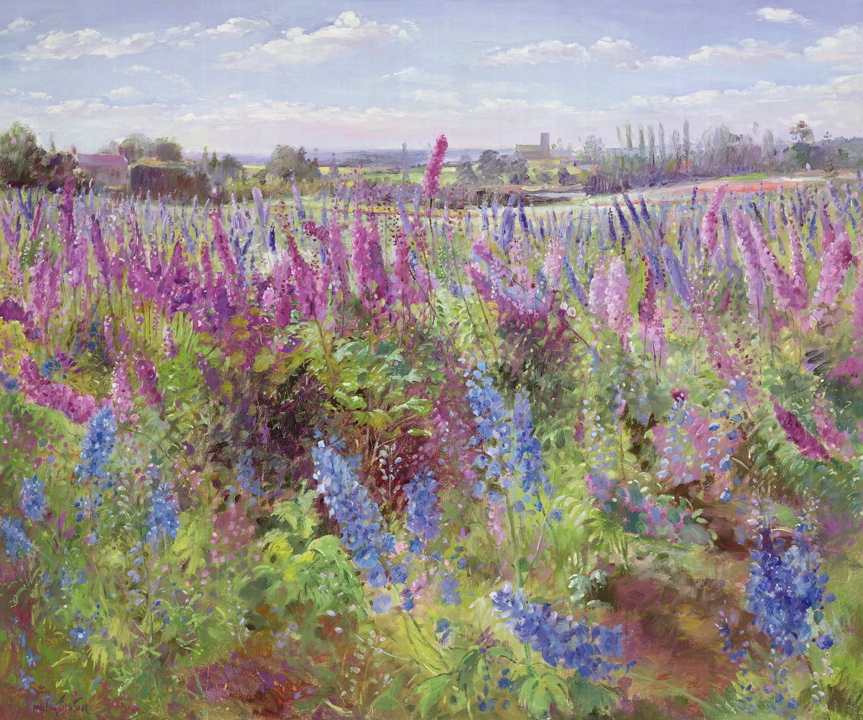 sonbahar şenlik ateşi by Timothy Easton