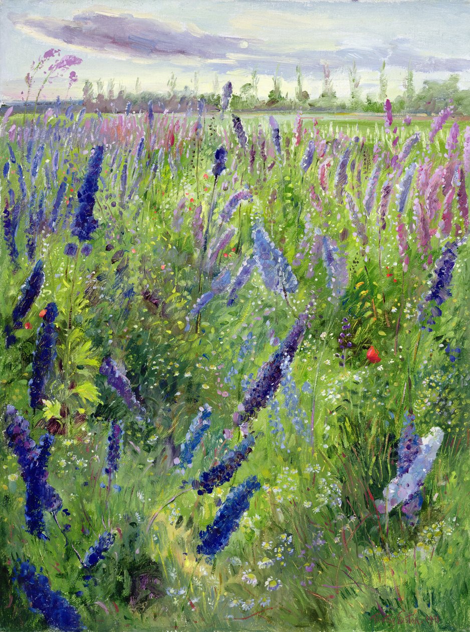 Delphiniums ve Yükselen Güneş by Timothy Easton