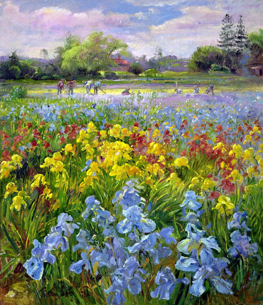 Çapa Takımı ve İris Tarlaları by Timothy Easton