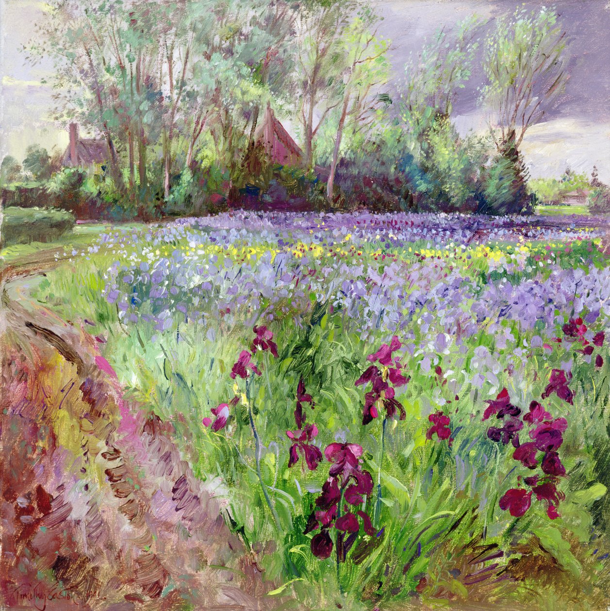 İris Alanı, Fırtına Toplama by Timothy Easton