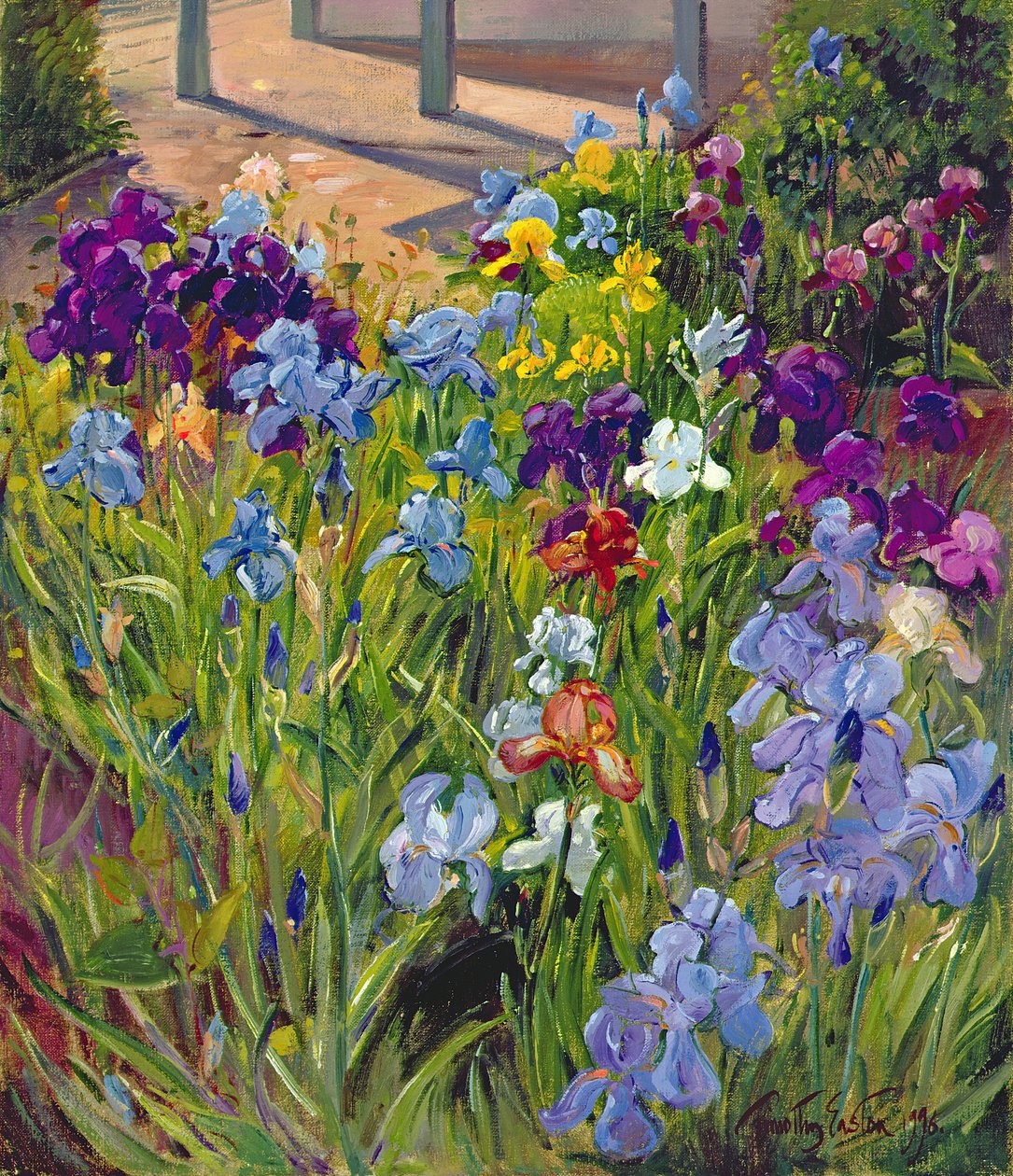 Süsenler ve Yazlık Evin Gölgeleri, 1996 by Timothy Easton