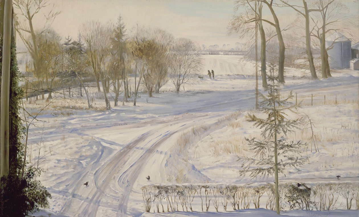 Moorhens aranıyor by Timothy Easton