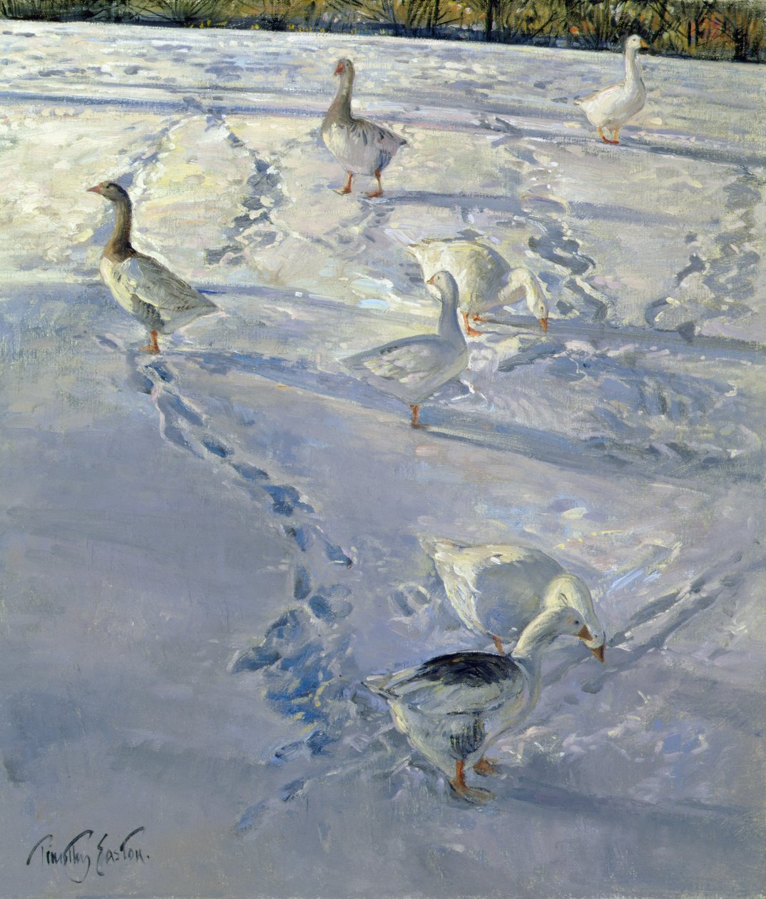 Gölgeler ve Yollar (tuval üzerine yağlı boya) by Timothy Easton
