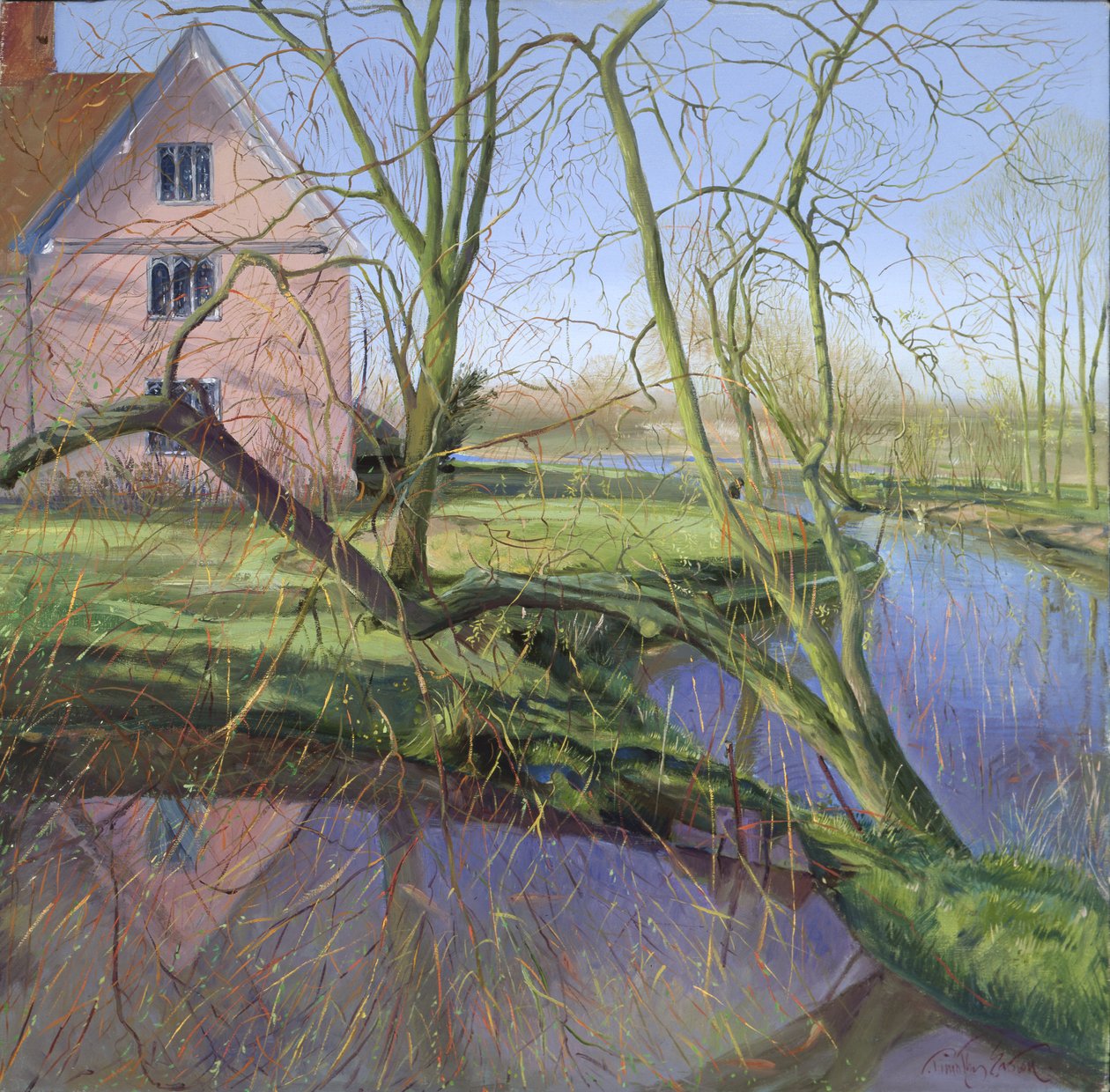 Filizlenen Söğüt Ağacı by Timothy Easton