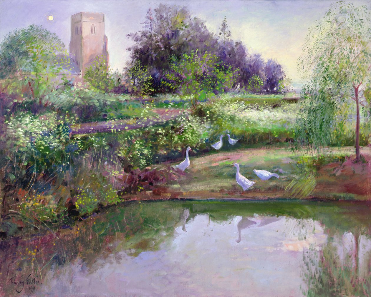 gün batımı yansımaları by Timothy Easton